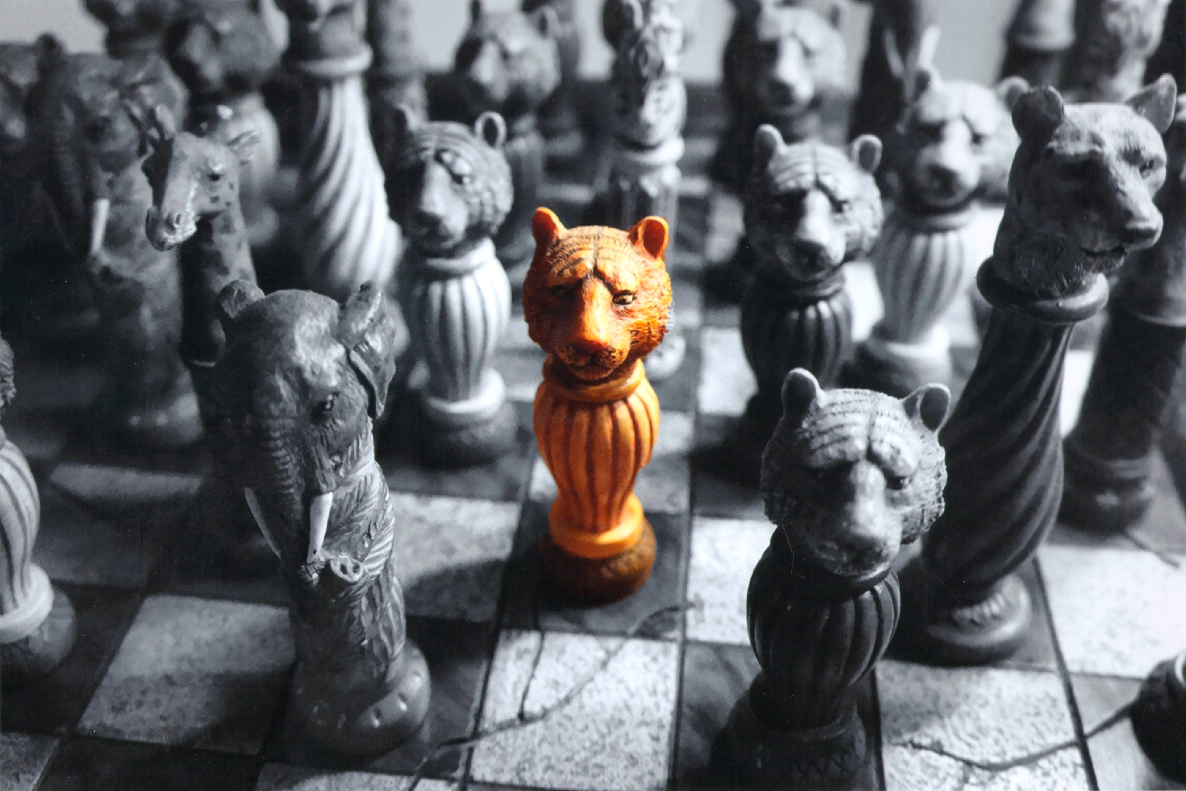 Black and White animal chess pieces with one in colorr