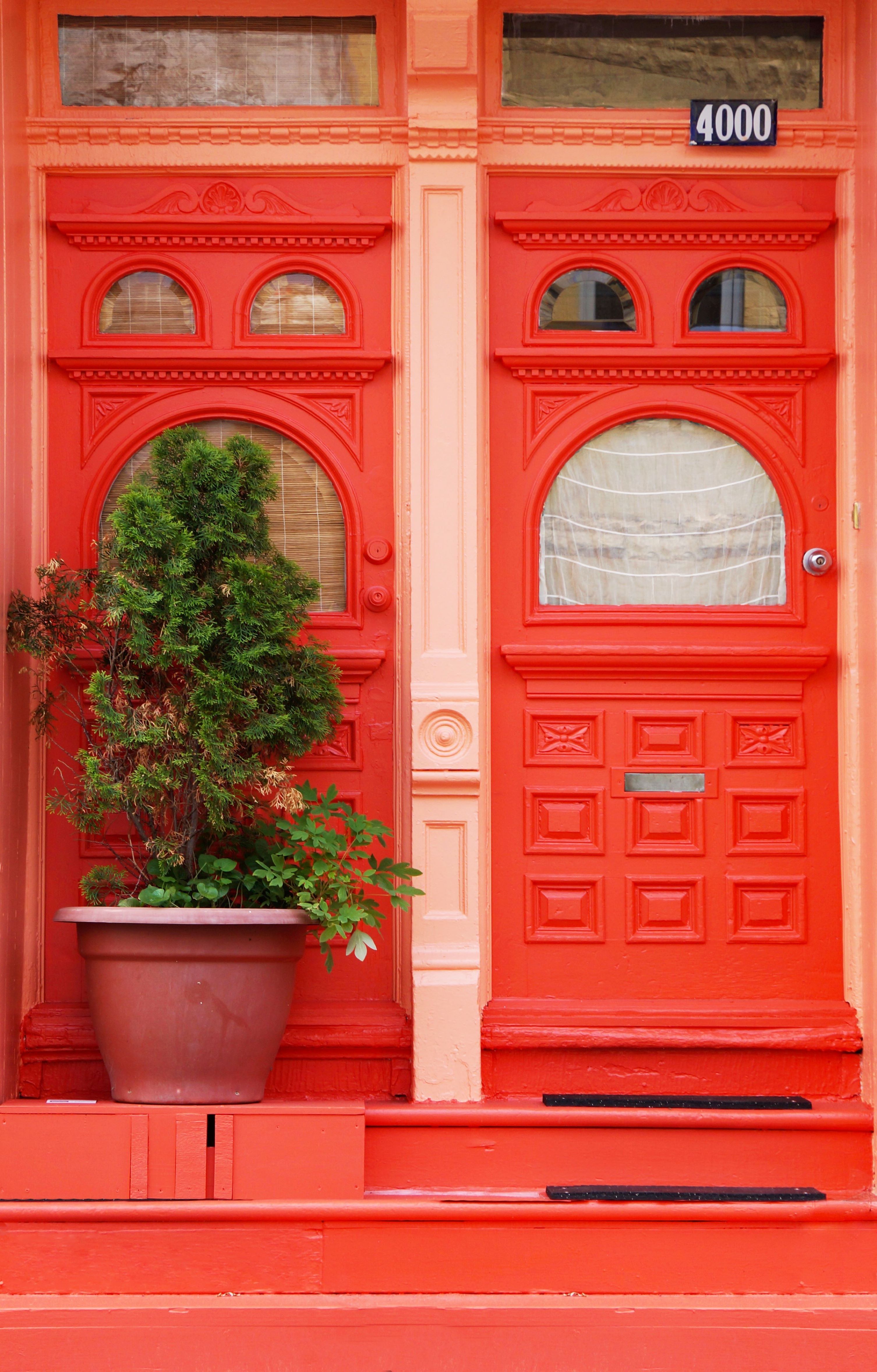 Two coral colored doors side by side with a plant.