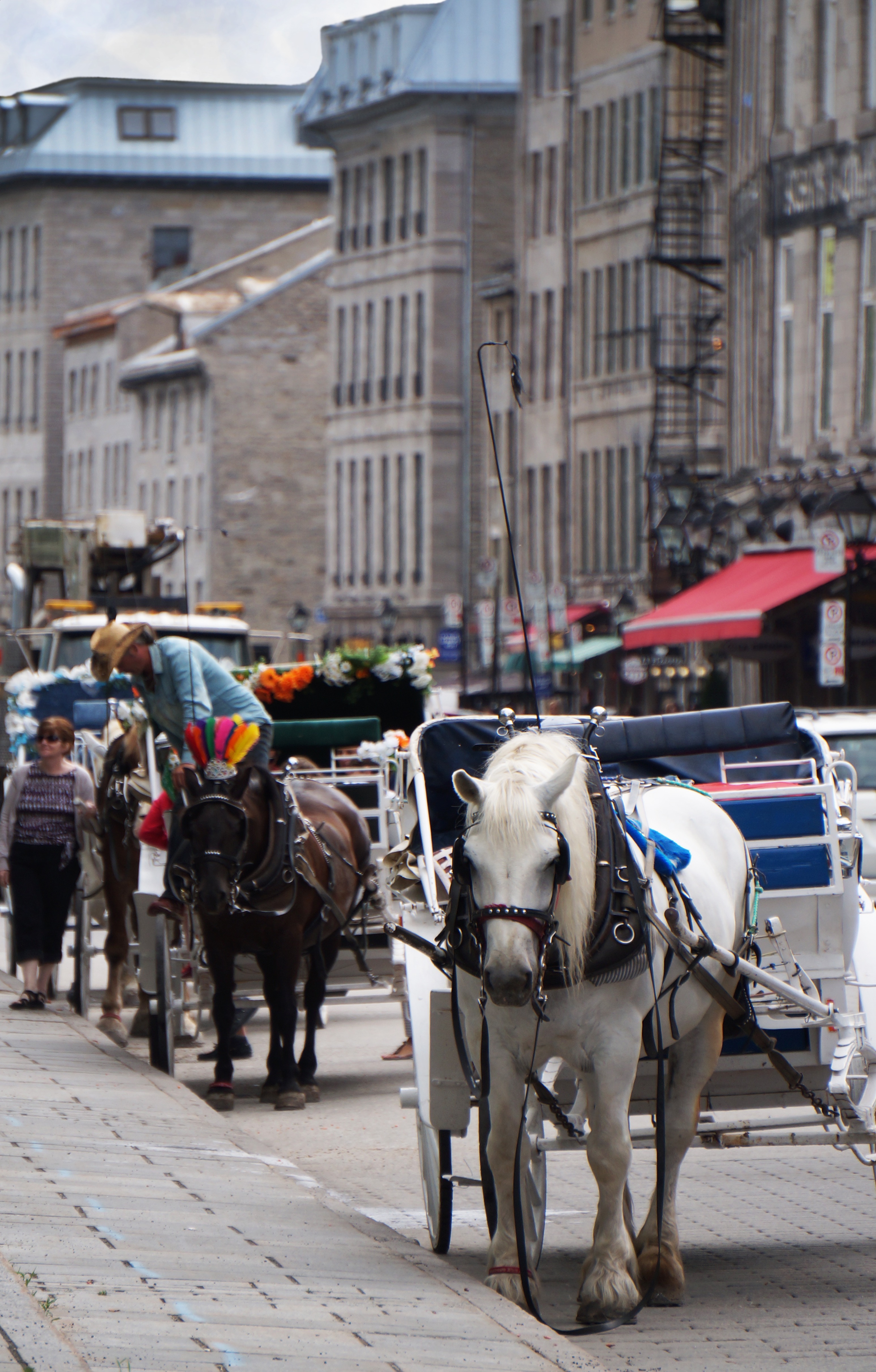 Horse and carriage infront of historic building.